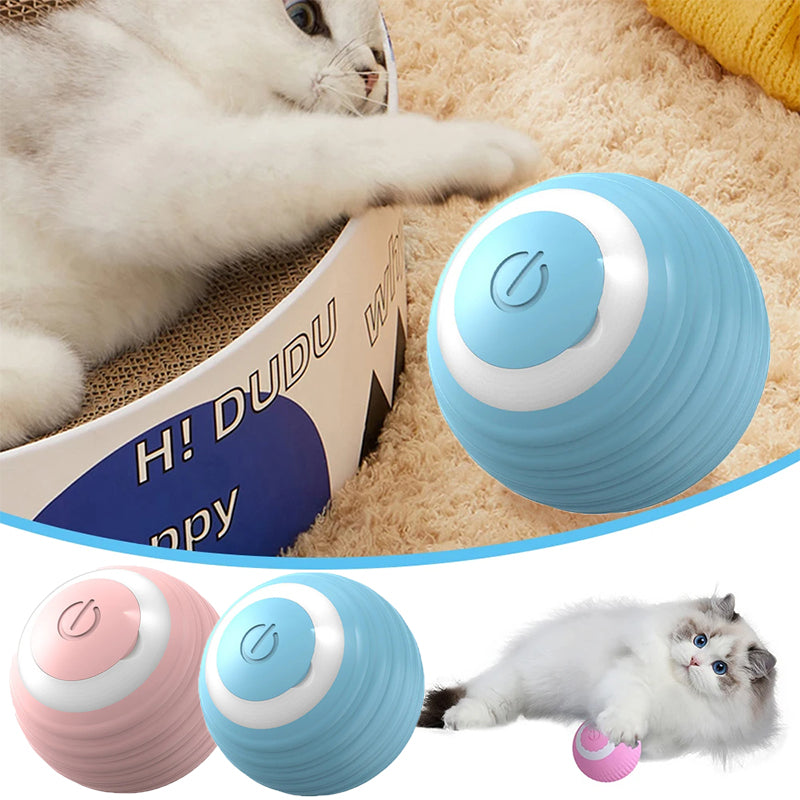 Pelota de Juguete para Mascotas