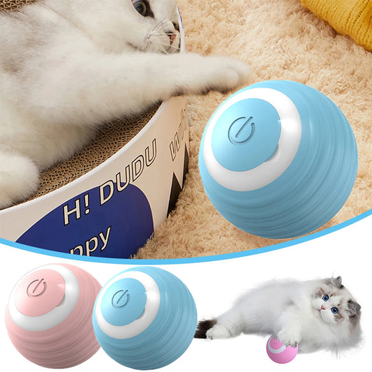 Pelota de Juguete para Mascotas