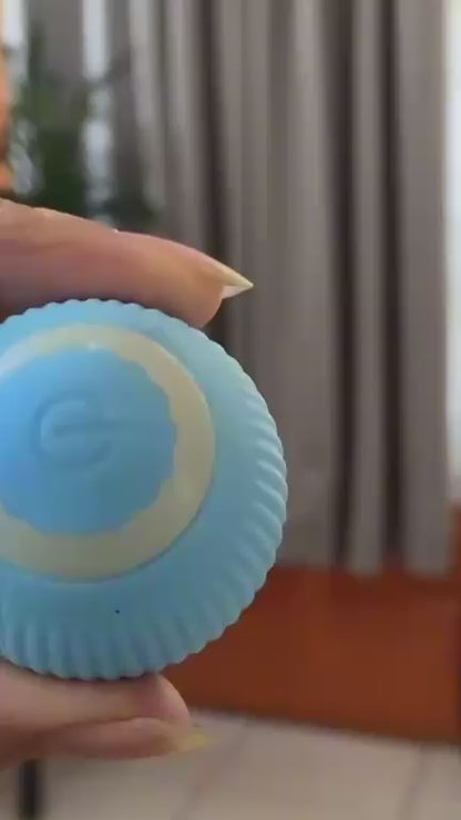 Pelota de Juguete para Mascotas