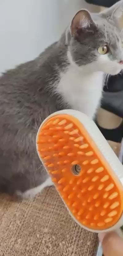 Cepillo a Vapor para Mascotas